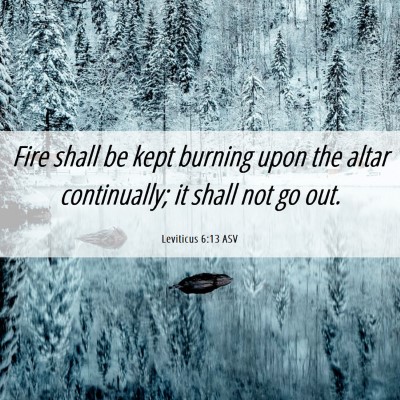 Picture 06 - Leviticus 6:13 ASV - Fire shall be kept burning upon the altar - Bible Verse Picture