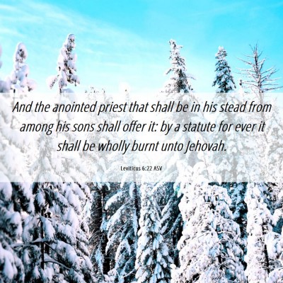 Picture 06 - Leviticus 6:22 ASV - And the anointed priest that shall be in his - Bible Verse Picture