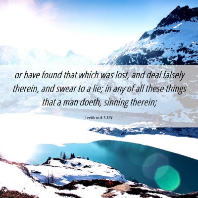 Picture 06 - Leviticus 6:3 ASV - or have found that which was lost, and deal - Bible Verse Picture