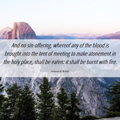 Picture 06 - Leviticus 6:30 ASV - And no sin-offering, whereof any of the blood is - Bible Verse Picture