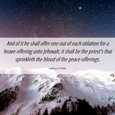 Picture 06 - Leviticus 7:14 ASV - And of it he shall offer one out of each oblation - Bible Verse Picture