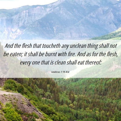 Picture 06 - Leviticus 7:19 ASV - And the flesh that toucheth any unclean thing - Bible Verse Picture