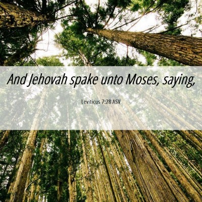 Picture 06 - Leviticus 7:28 ASV - And Jehovah spake unto Moses, - Bible Verse Picture