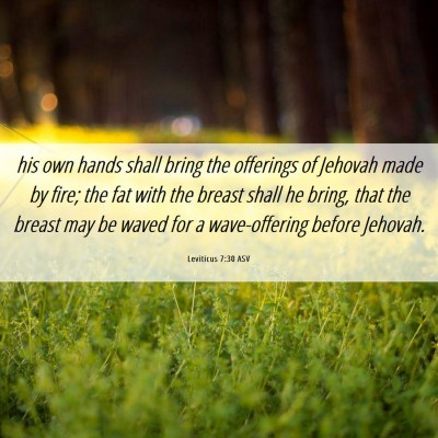 Picture 06 - Leviticus 7:30 ASV - his own hands shall bring the offerings of - Bible Verse Picture
