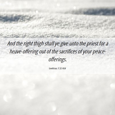 Picture 06 - Leviticus 7:32 ASV - And the right thigh shall ye give unto the priest - Bible Verse Picture
