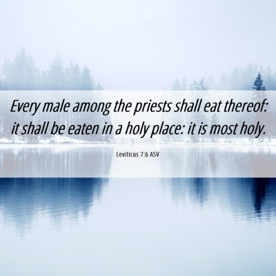 Picture 06 - Leviticus 7:6 ASV - Every male among the priests shall eat thereof: - Bible Verse Picture