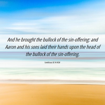 Picture 06 - Leviticus 8:14 ASV - And he brought the bullock of the sin-offering: - Bible Verse Picture