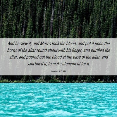 Picture 06 - Leviticus 8:15 ASV - And he slew it; and Moses took the blood, and put - Bible Verse Picture