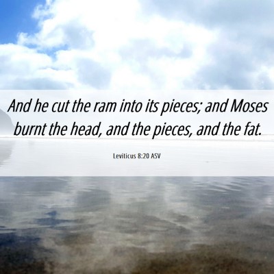 Picture 06 - Leviticus 8:20 ASV - And he cut the ram into its pieces; and Moses - Bible Verse Picture