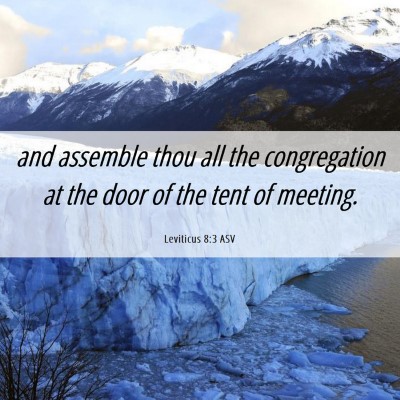 Picture 06 - Leviticus 8:3 ASV - and assemble thou all the congregation at the - Bible Verse Picture