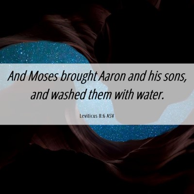 Picture 06 - Leviticus 8:6 ASV - And Moses brought Aaron and his sons, and washed - Bible Verse Picture