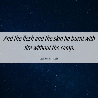 Picture 06 - Leviticus 9:11 ASV - And the flesh and the skin he burnt with fire - Bible Verse Picture