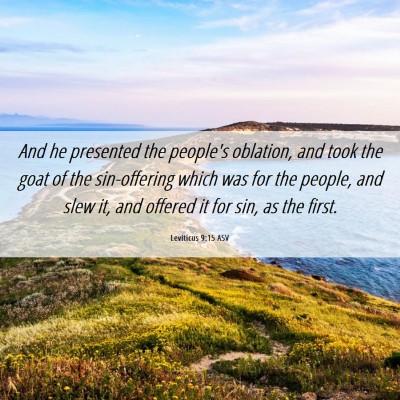 Picture 06 - Leviticus 9:15 ASV - And he presented the people's oblation, and took - Bible Verse Picture