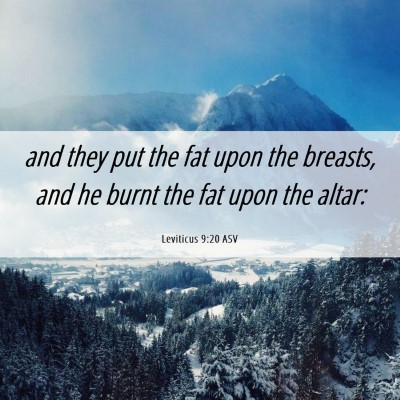 Picture 06 - Leviticus 9:20 ASV - and they put the fat upon the breasts, and he - Bible Verse Picture
