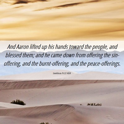 Picture 06 - Leviticus 9:22 ASV - And Aaron lifted up his hands toward the people, - Bible Verse Picture