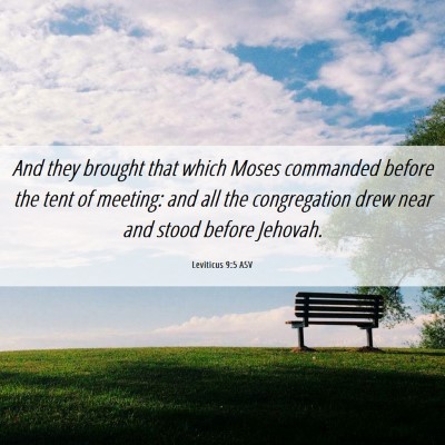 Picture 06 - Leviticus 9:5 ASV - And they brought that which Moses commanded - Bible Verse Picture