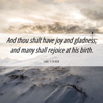 Picture 06 - Luke 1:14 ASV - And thou shalt have joy and gladness; and many - Bible Verse Picture