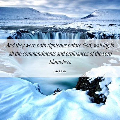 Picture 06 - Luke 1:6 ASV - And they were both righteous before God, walking - Bible Verse Picture