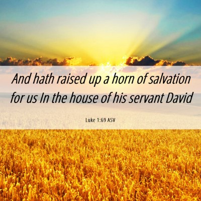 Picture 06 - Luke 1:69 ASV - And hath raised up a horn of salvation for us In - Bible Verse Picture