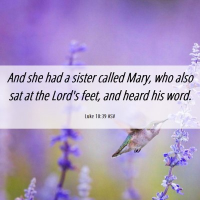 Picture 06 - Luke 10:39 ASV - And she had a sister called Mary, who also sat at - Bible Verse Picture