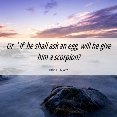 Picture 06 - Luke 11:12 ASV - Or `if' he shall ask an egg, will he give him a - Bible Verse Picture