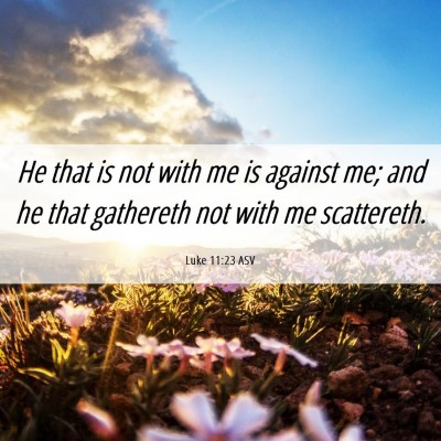 Picture 06 - Luke 11:23 ASV - He that is not with me is against me; and he that - Bible Verse Picture
