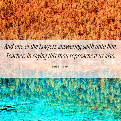 Picture 06 - Luke 11:45 ASV - And one of the lawyers answering saith unto him, - Bible Verse Picture