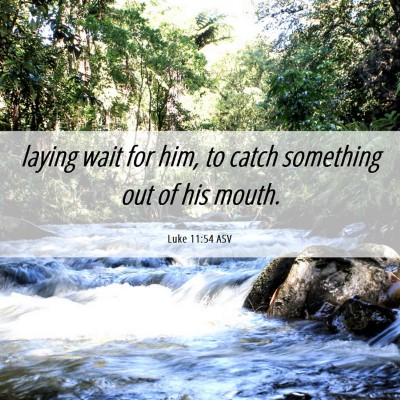 Picture 06 - Luke 11:54 ASV - laying wait for him, to catch something out of - Bible Verse Picture