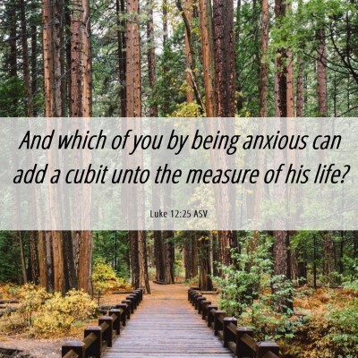 Picture 06 - Luke 12:25 ASV - And which of you by being anxious can add a cubit - Bible Verse Picture