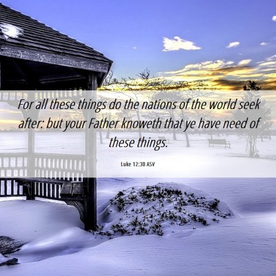 Picture 06 - Luke 12:30 ASV - For all these things do the nations of the world - Bible Verse Picture