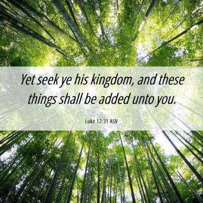 Picture 06 - Luke 12:31 ASV - Yet seek ye his kingdom, and these things shall - Bible Verse Picture
