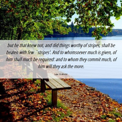 Picture 06 - Luke 12:48 ASV - but he that knew not, and did things worthy of - Bible Verse Picture
