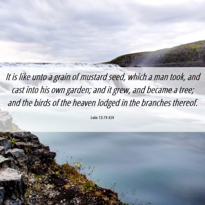Picture 06 - Luke 13:19 ASV - It is like unto a grain of mustard seed, which a - Bible Verse Picture