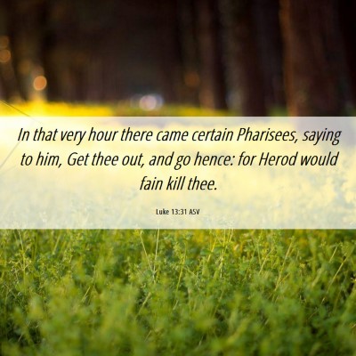Picture 06 - Luke 13:31 ASV - In that very hour there came certain Pharisees, - Bible Verse Picture
