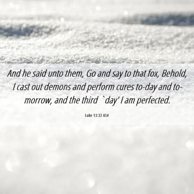 Picture 06 - Luke 13:32 ASV - And he said unto them, Go and say to that fox, - Bible Verse Picture