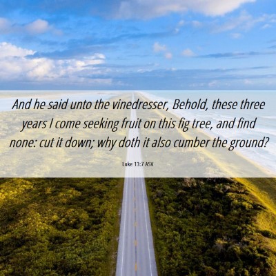 Picture 06 - Luke 13:7 ASV - And he said unto the vinedresser, Behold, these - Bible Verse Picture