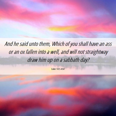 Picture 06 - Luke 14:5 ASV - And he said unto them, Which of you shall have an - Bible Verse Picture