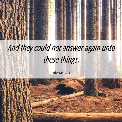 Picture 06 - Luke 14:6 ASV - And they could not answer again unto these - Bible Verse Picture