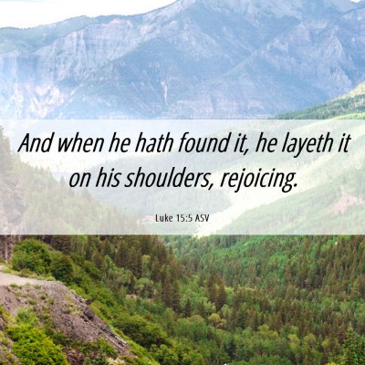 Picture 06 - Luke 15:5 ASV - And when he hath found it, he layeth it on his - Bible Verse Picture
