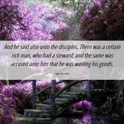 Picture 06 - Luke 16:1 ASV - And he said also unto the disciples, There was a - Bible Verse Picture