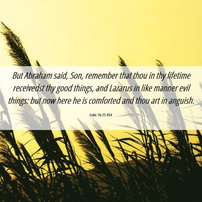 Picture 06 - Luke 16:25 ASV - But Abraham said, Son, remember that thou in thy - Bible Verse Picture