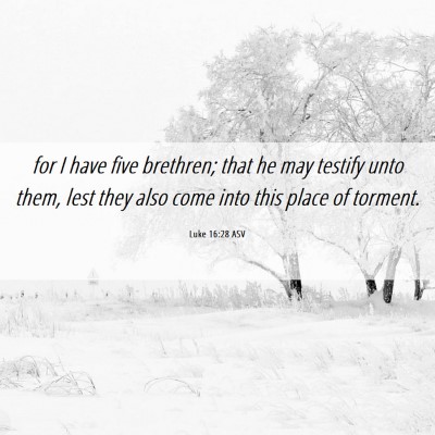 Picture 06 - Luke 16:28 ASV - for I have five brethren; that he may testify - Bible Verse Picture