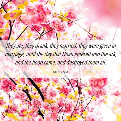 Picture 06 - Luke 17:27 ASV - They ate, they drank, they married, they were - Bible Verse Picture