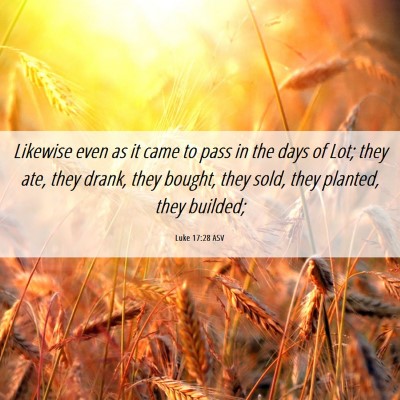 Picture 06 - Luke 17:28 ASV - Likewise even as it came to pass in the days of - Bible Verse Picture