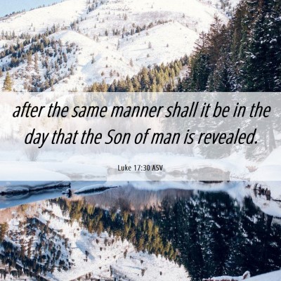 Picture 06 - Luke 17:30 ASV - after the same manner shall it be in the day that - Bible Verse Picture