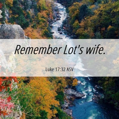 Picture 06 - Luke 17:32 ASV - Remember Lot's - Bible Verse Picture