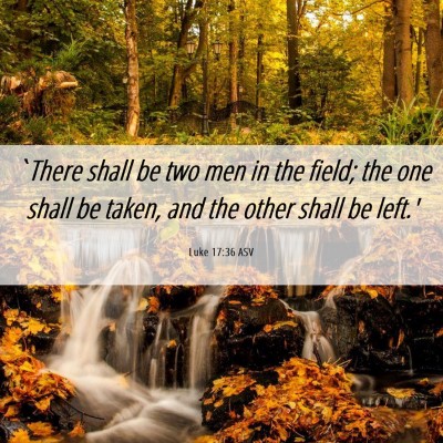 Picture 06 - Luke 17:36 ASV - `There shall be two men in the field; the one - Bible Verse Picture