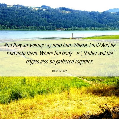 Picture 06 - Luke 17:37 ASV - And they answering say unto him, Where, Lord? And - Bible Verse Picture