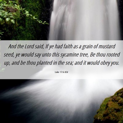 Picture 06 - Luke 17:6 ASV - And the Lord said, If ye had faith as a grain of - Bible Verse Picture