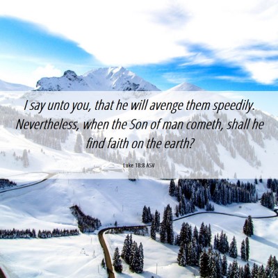 Picture 06 - Luke 18:8 ASV - I say unto you, that he will avenge them - Bible Verse Picture